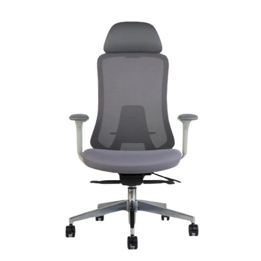 Hunky Fedo High Back Chair With Adjustable Armrest , Mesh Office Executive Chair