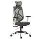 Hunky Spine High Back Ergonomic Desk Chair , Adjustable Armrest , Lumbar Support , Smart Synchro Lock Mechanism & Heavy Duty Nylon Base | 3 Years Warranty