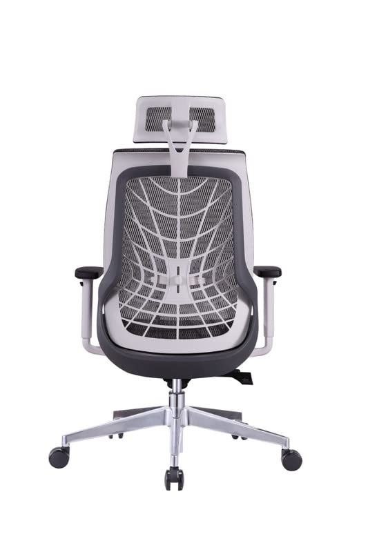 Hunky Spider High Back Office Chair | 5 Year Warranty | Mess Ergonomic Chair With Multi Lock Mechanism | 2D Armrest