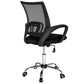 Hunky Low Back Mesh Executive office Chair with Chrome Base