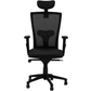 Hunky Reflex High Back Ergonomic Chair With 2D Adjustable Arm | 3 Years Warranty